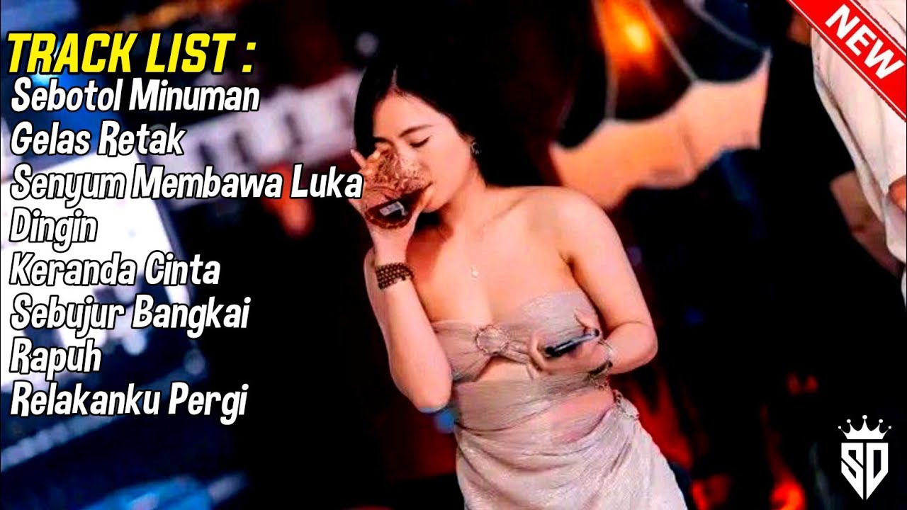 BREAKBEAT DANGDUT LAWAS TERENAK DJ SEBOTOL MINUMAN X GELAS RETAK FULL BASS TERBARU 2025