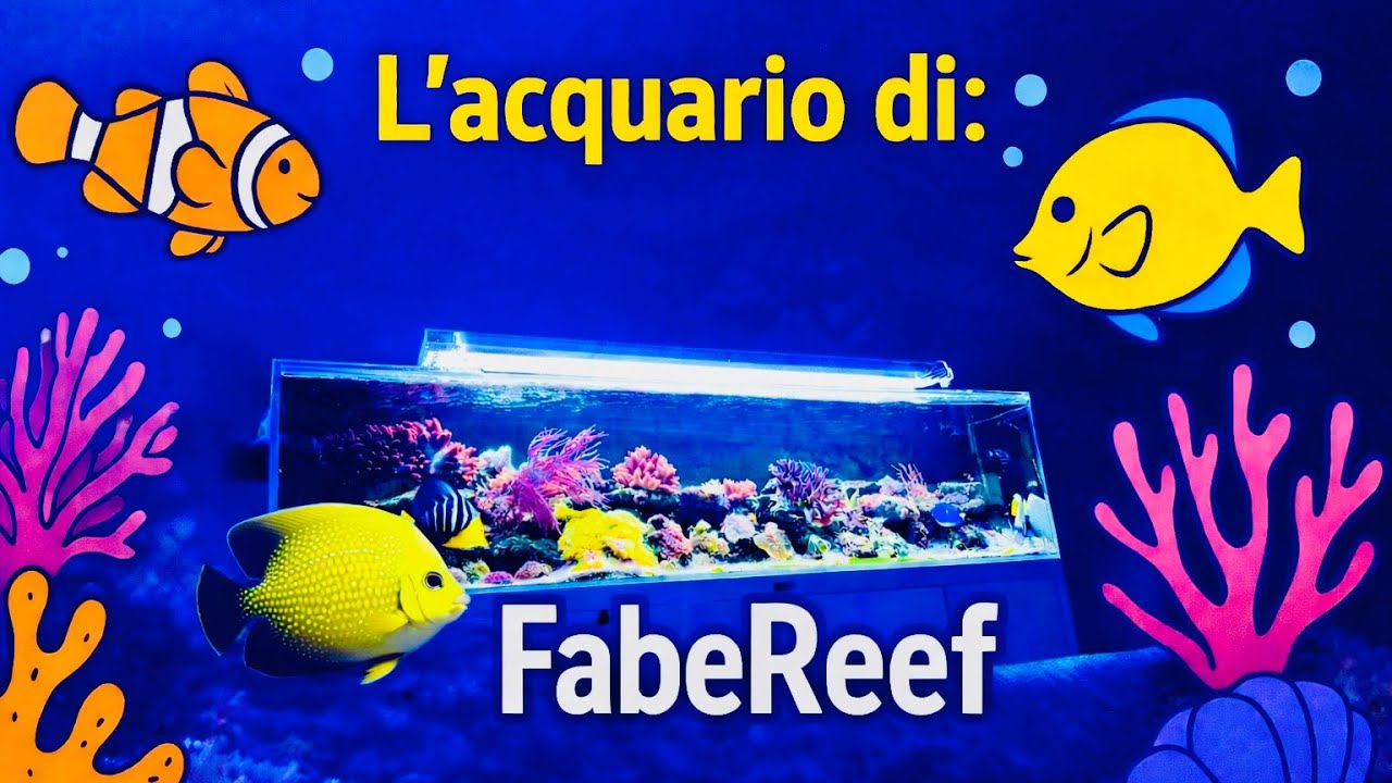 Alla scoperta dell’acquario di @FabeReef