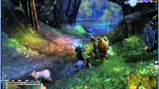 Sfr V Elona V Riverside17.07.2013. Wvw Warrior