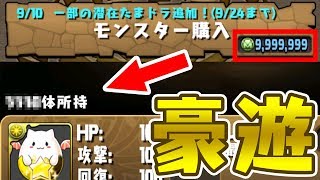 【馬鹿】モンポがカンストしたのでたまドラ3000体買ってみたwww【パズドラ】