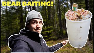 The BEST Spring Bear Bait Setup! (Manitoba Bear Hunting)