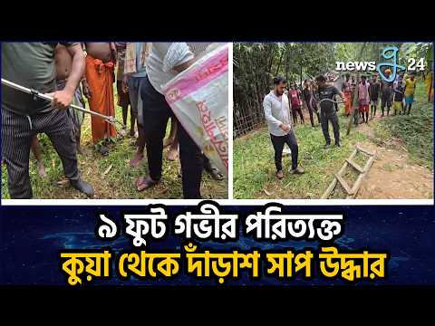 হবিগঞ্জে ৯ ফুট গভীর পরিত্যক্ত কুয়া থেকে দাঁড়াশ সাপ উদ্ধার | Rat Snake Rescued From a 9-Foot