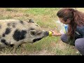 Deborah video