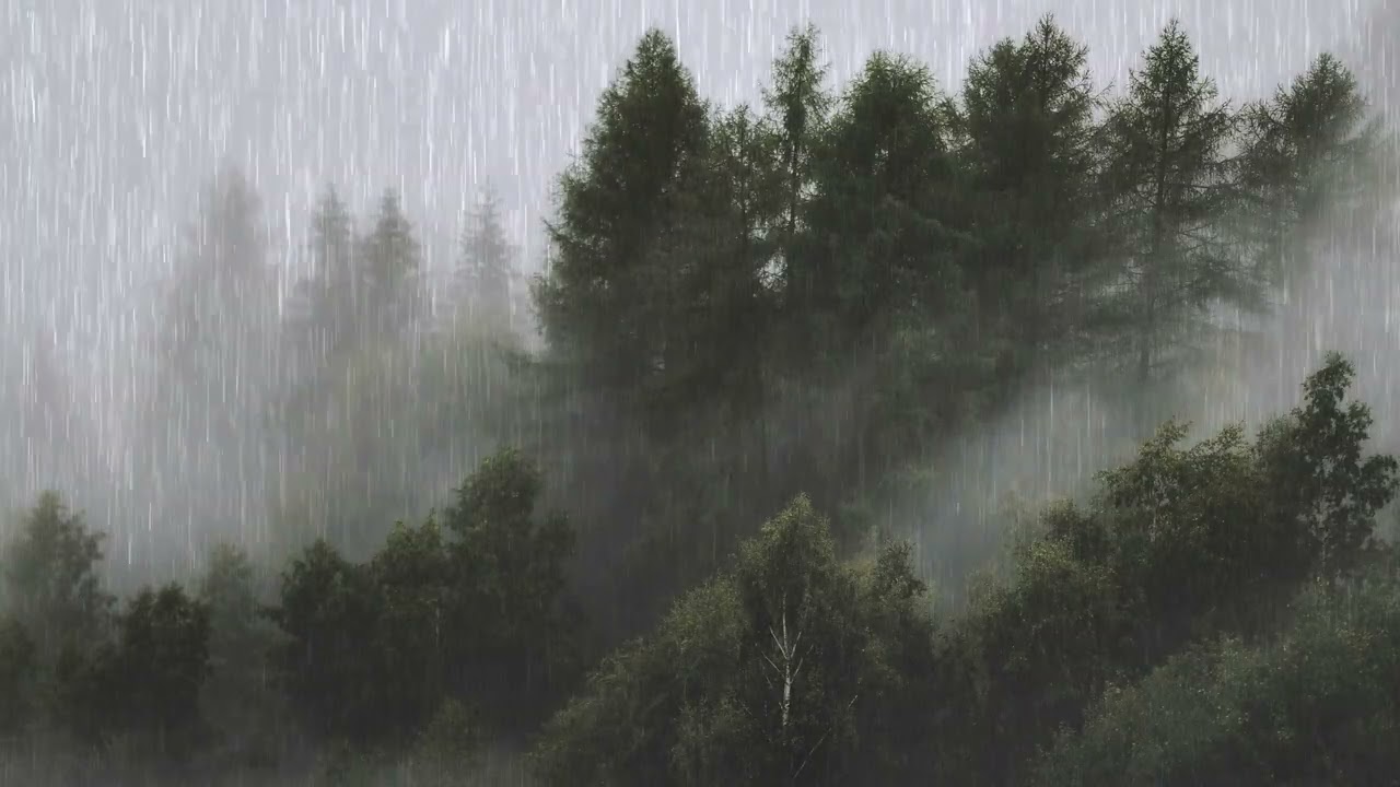 Rainy Pine Forest Ambience: Heavy Rain Sounds for Sleeping & Deep Relaxation