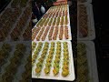 #sushi #sashimi #fruits #gâteau #l'huître #reelfood #reelvideo #shortsvedio #globetrotter #visite.fr