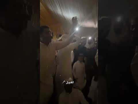 معلايه الفيل 