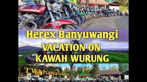 STORY WA HEREX KAWAH WURUNG || INDEPENDENT BANYUWANGI
