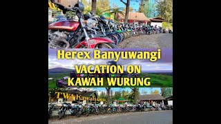 STORY WA HEREX KAWAH WURUNG || INDEPENDENT BANYUWANGI