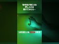 【閲覧注意】絶対に見てはいけないもの #shorts