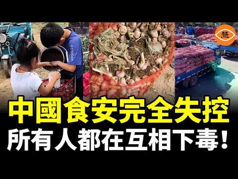 毒水果做果乾、豬肉有毒、西瓜爛地裡、大蒜摻假…… 你以為不買就能躲得掉？ 中國食安完全失控，所有人都在互相下毒！