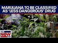 Breaking marijuana to be reclassified as less dangerous drug by dea  livenow from fox