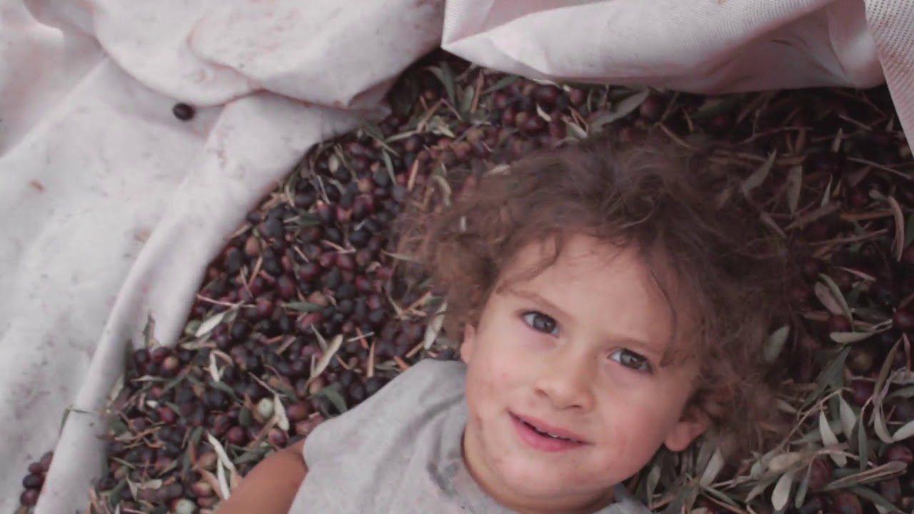 בודדים בשטח - חוות שמשון