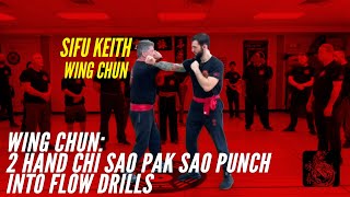 2 Hand Chi Sao Pak Sao Punch Into Flow Drills - Wing Chun