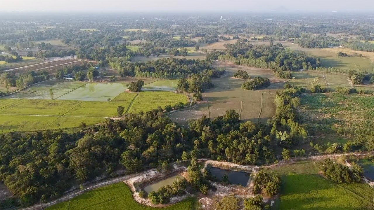 ขายป่าพร้อมที่นา 31ไร่ น้ำไฟครบ ราคาถูกมากเพียงไร่ละ100,000บาท อ.หนองขาหย่าง จ.อุทัยธานี