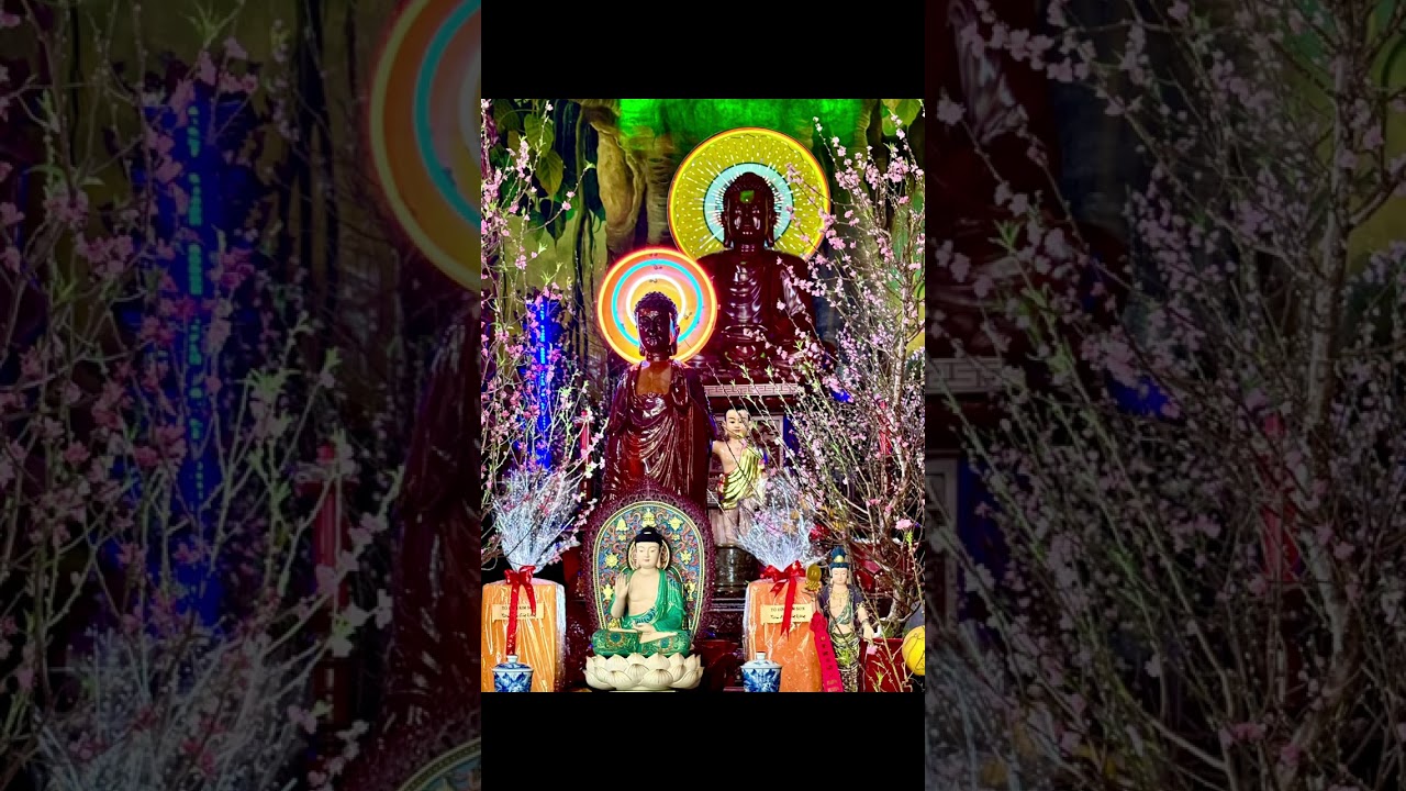 Trưa mồng bốn ghé chùa gần nhà cũ, được sư thầy lì xì và chụp hình chung.