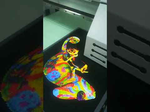 onsite-video-of-black-tshirt-cartoon-animal-sample