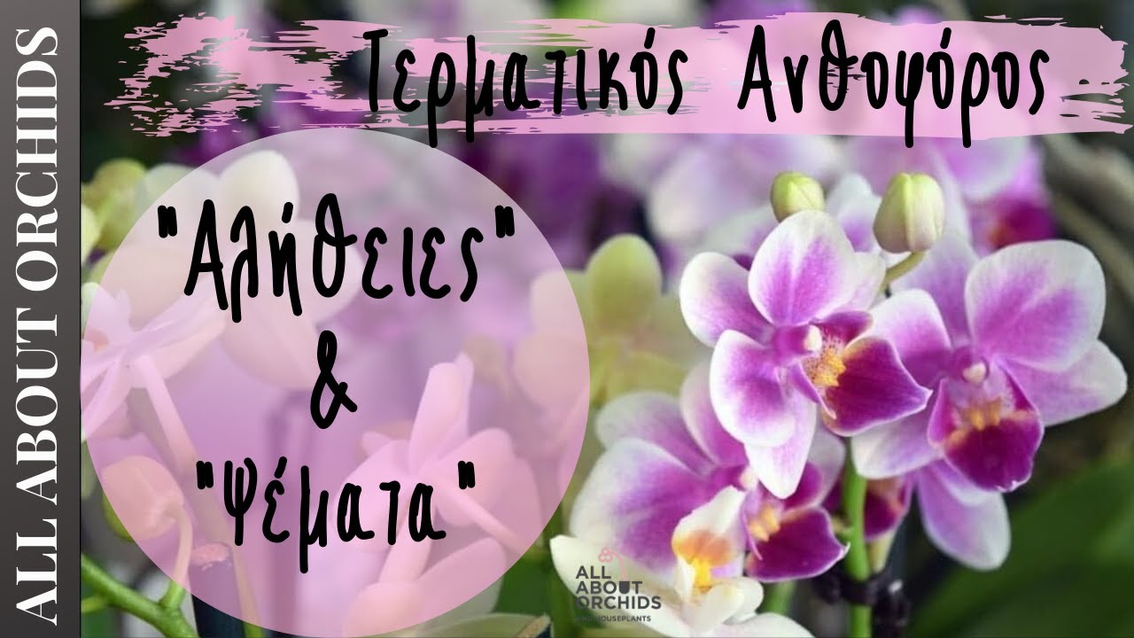 Τερματικός Ανθοφόρος. Terminal Spike. Τι είναι; Πως τον αντιμετωπίζουμε.