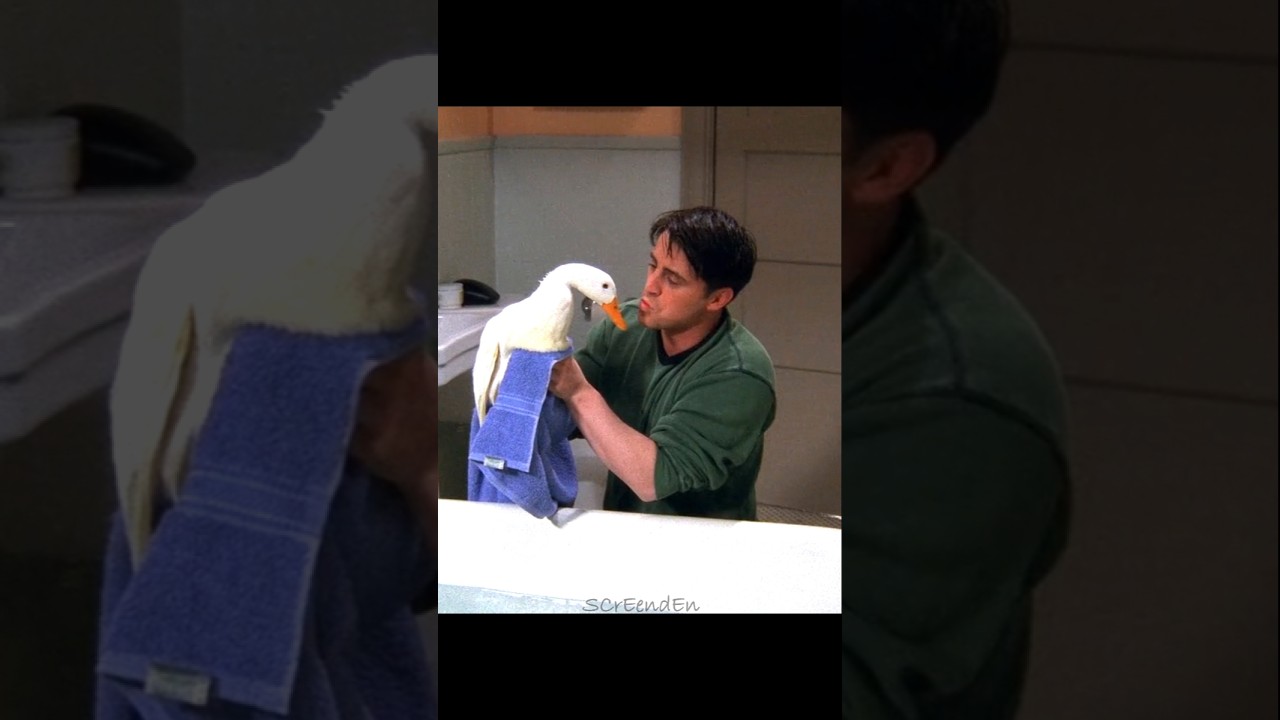 🤣Joey’s Emotional Moment Over the Duck |FRIENDS| 