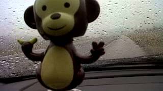 Solar Powered Monkey Doing The Booty Dance