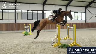 Umi van 't Meerhof
