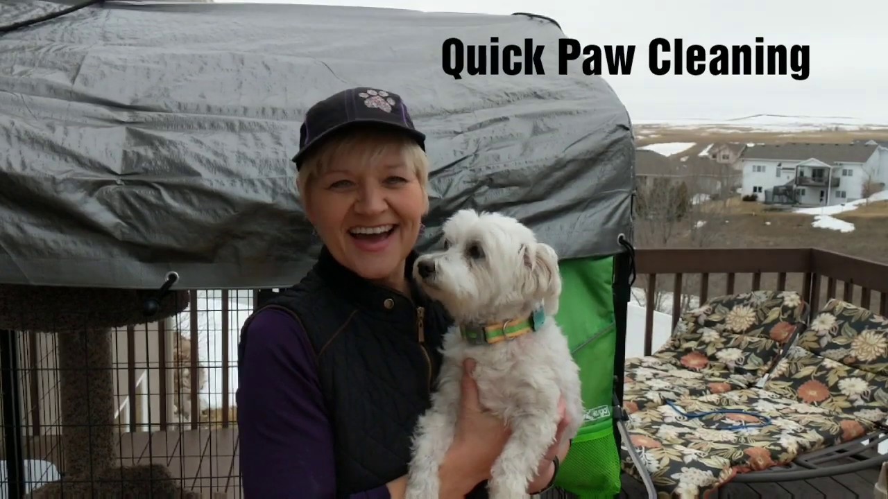 Quick & Portable Dog Paw Cleaning YouTube