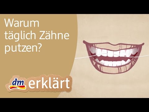 dm erklärt: Warum täglich Zähne putzen?