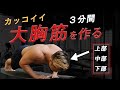 【3分】初心者が絶対にやるべき！「大胸筋」を大きくするトレーニング！