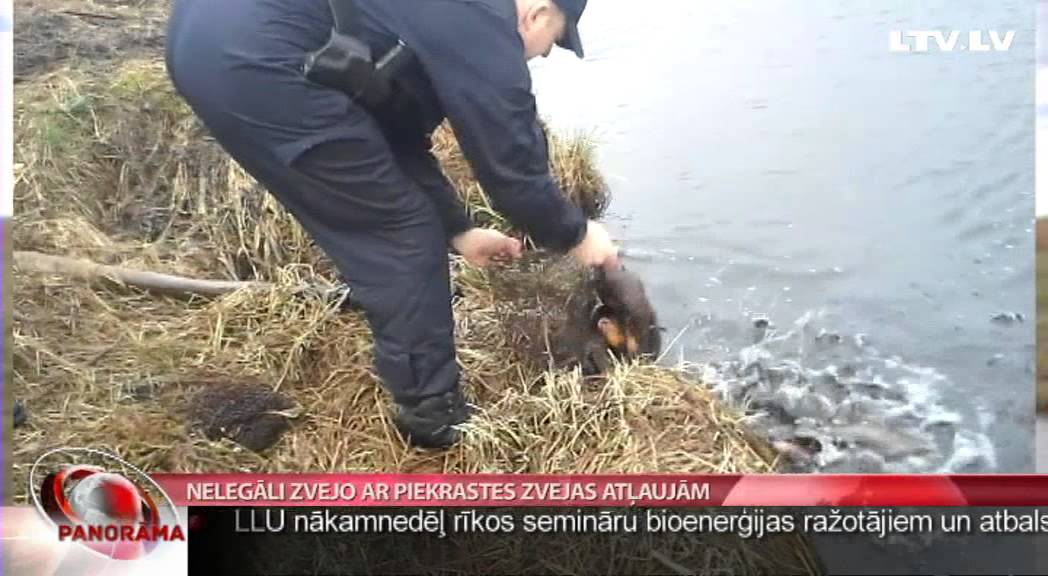 Nelegāli zvejo ar piekrastes zvejas atļaujām