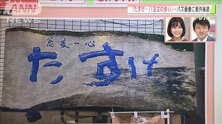 今週のバズ画像！看板「たすけ・・・」に意外秘話が(2020年10月22日)