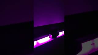 Tronsmart Mirtune s100 #btsoundlab #bass #test #bluetoothspeaker #tronsmart #tronsmartspeaker