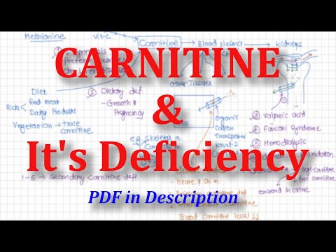 l carnitine deficiency Carnitine & Its Deficiency | Simplified Biochemistry Lecture