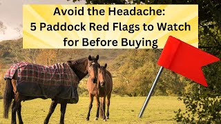 Avoid the Headache 5 Paddock Red Flags to Watch for Before Buying in Hudson Valley, NY
