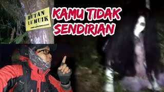 MISTERI GUNUNG SINGGALANG‼️Harus Kuat Mental Treking Malam Di Hutan Lumut Menyeramkan