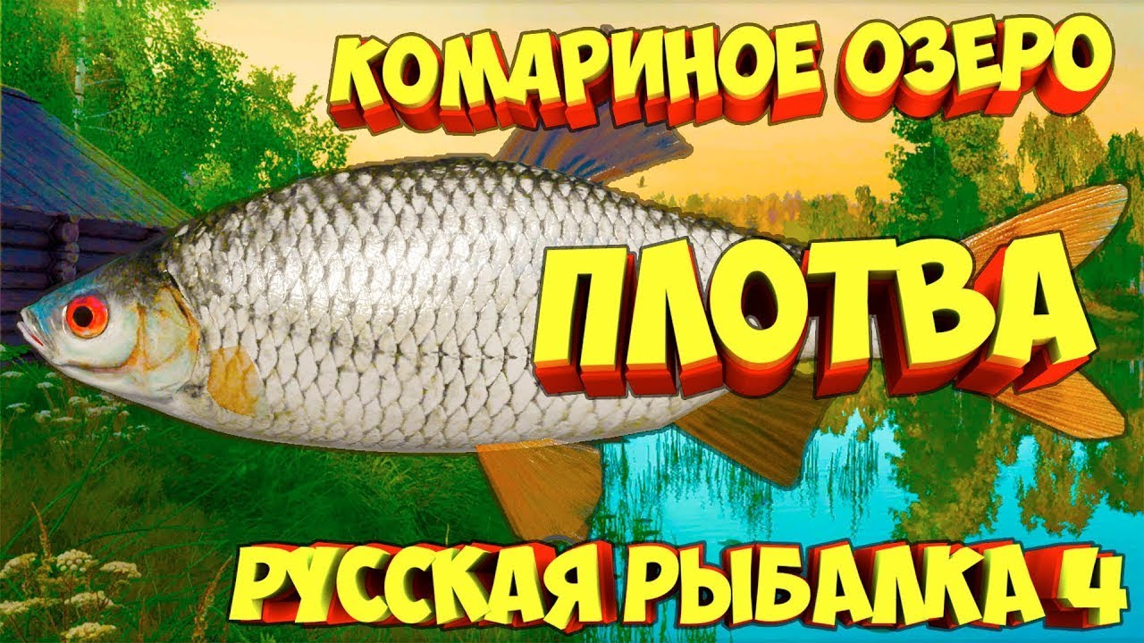 ловлю троф плотву - YouTube