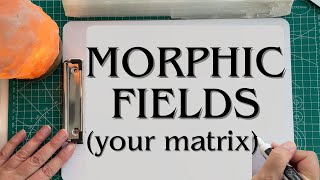 Morphogenetic Fields Explained | How Patterns Shape Life, Memory & Reality