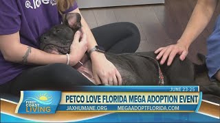 Adopt a furry friend this weekend!