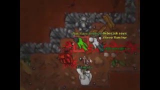 Tibia Kyra pk