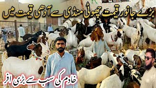 Khadim Laya Qurbani ke full size khasi Bakre, 😍 mandi se saste 😱 loot lo 🚨-24-Apr-2026❤️