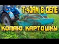 Копаю картошку на Т-40АМ