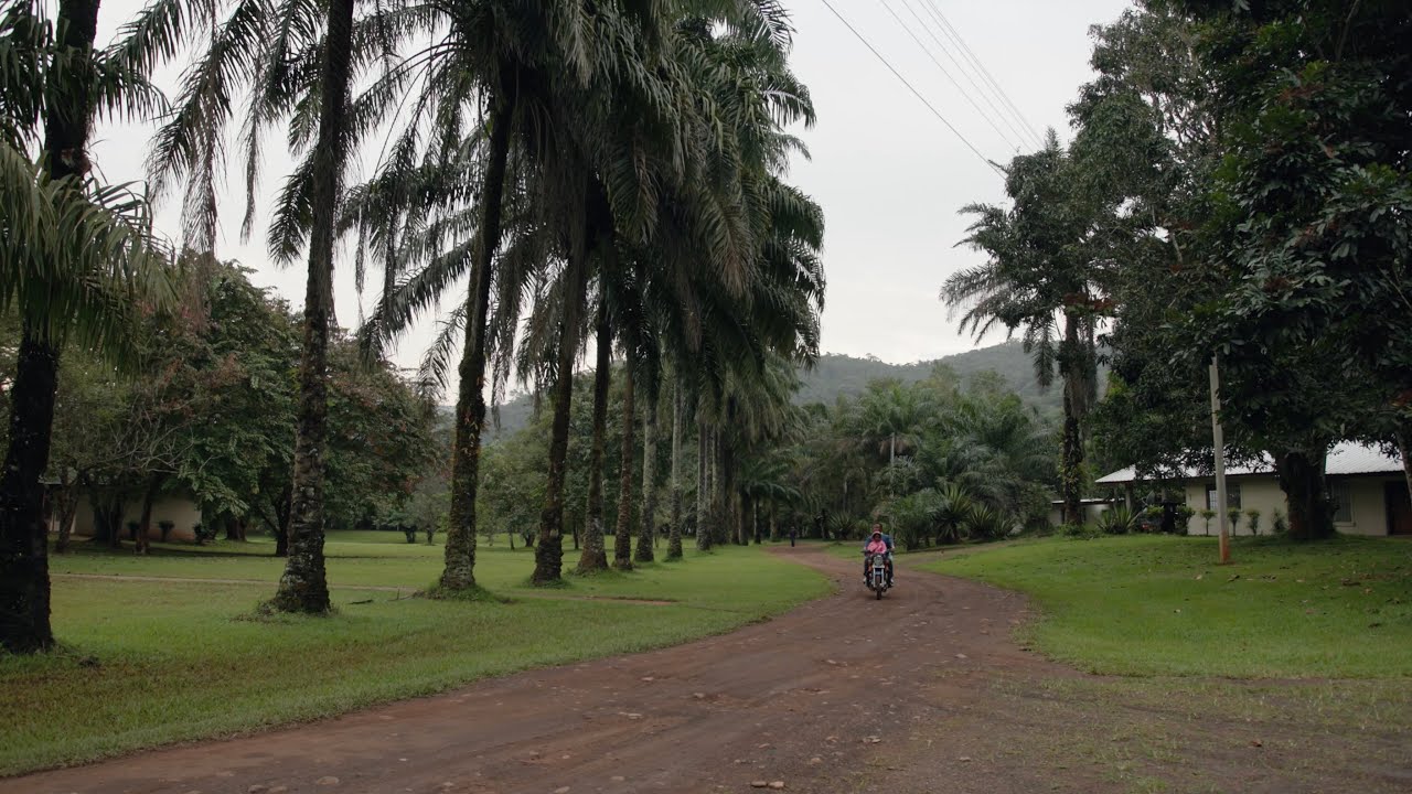 Thankful for 2025 - Silent Images