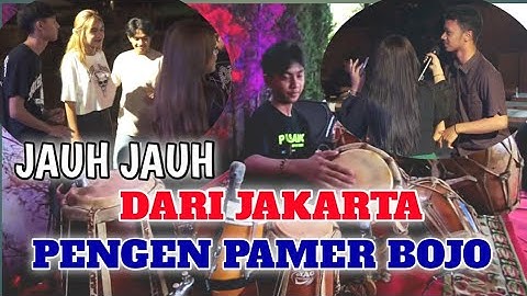 Pamer Bojo Ariel Gebot Live Caffe Teras Sentani