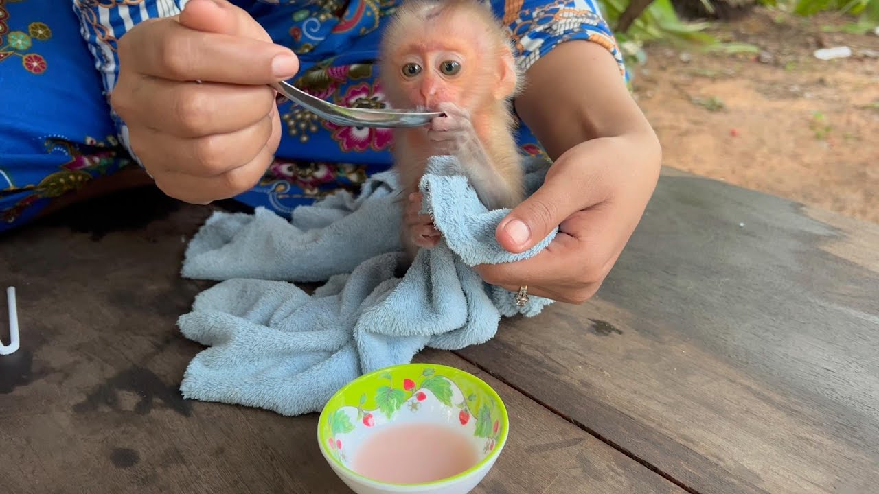 After mom Takes a shower, The are orphans ,Mom gives milk to orphans
