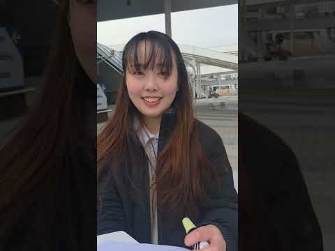 뒤태 미남, 따라가보니?