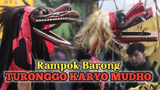 RAMPOK BARONG Jaranan Jowo Turonggo Karyo Mudho Live Nyawangan Kras Kediri - Vesya Audio