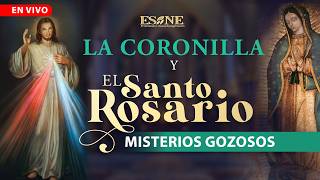 Coronilla a la Divina Misericordia y Santo Rosario: Misterios Gozosos screenshot 3