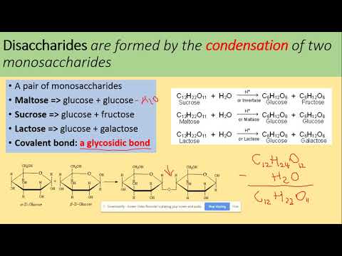 3.1.2 Carbohydrates. Part 1. AQA A level Biology