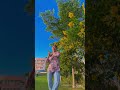 #dance live nwantiti song