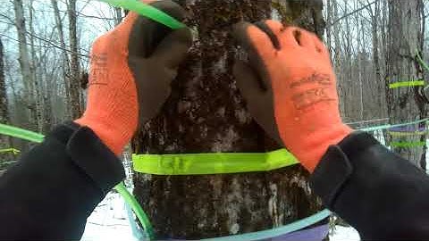 POV Maple Tapping Straight thru Spout