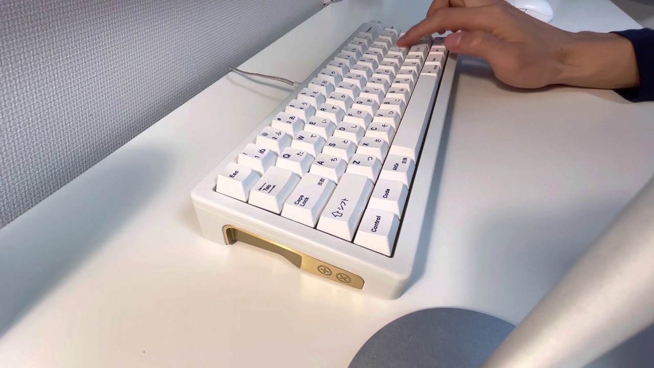 TX65V2 홀리판다(글홀판) 타건