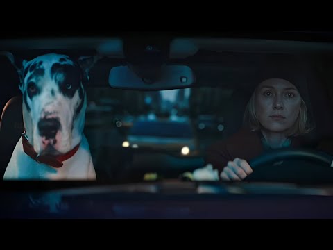 Верный друг Русский трейлер HD Драма 2024 Билл Мюррей Наоми Уоттс Карла Гуджино 